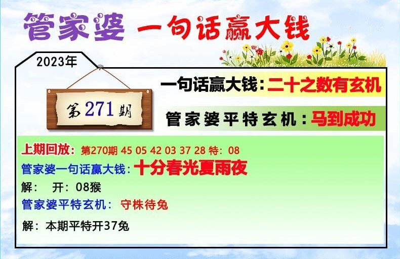 202管家婆一肖一码,快速落实方案响应_L版27.500