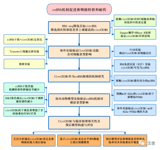 新澳资料正版免费资料,结构化推进评估_zShop74.783