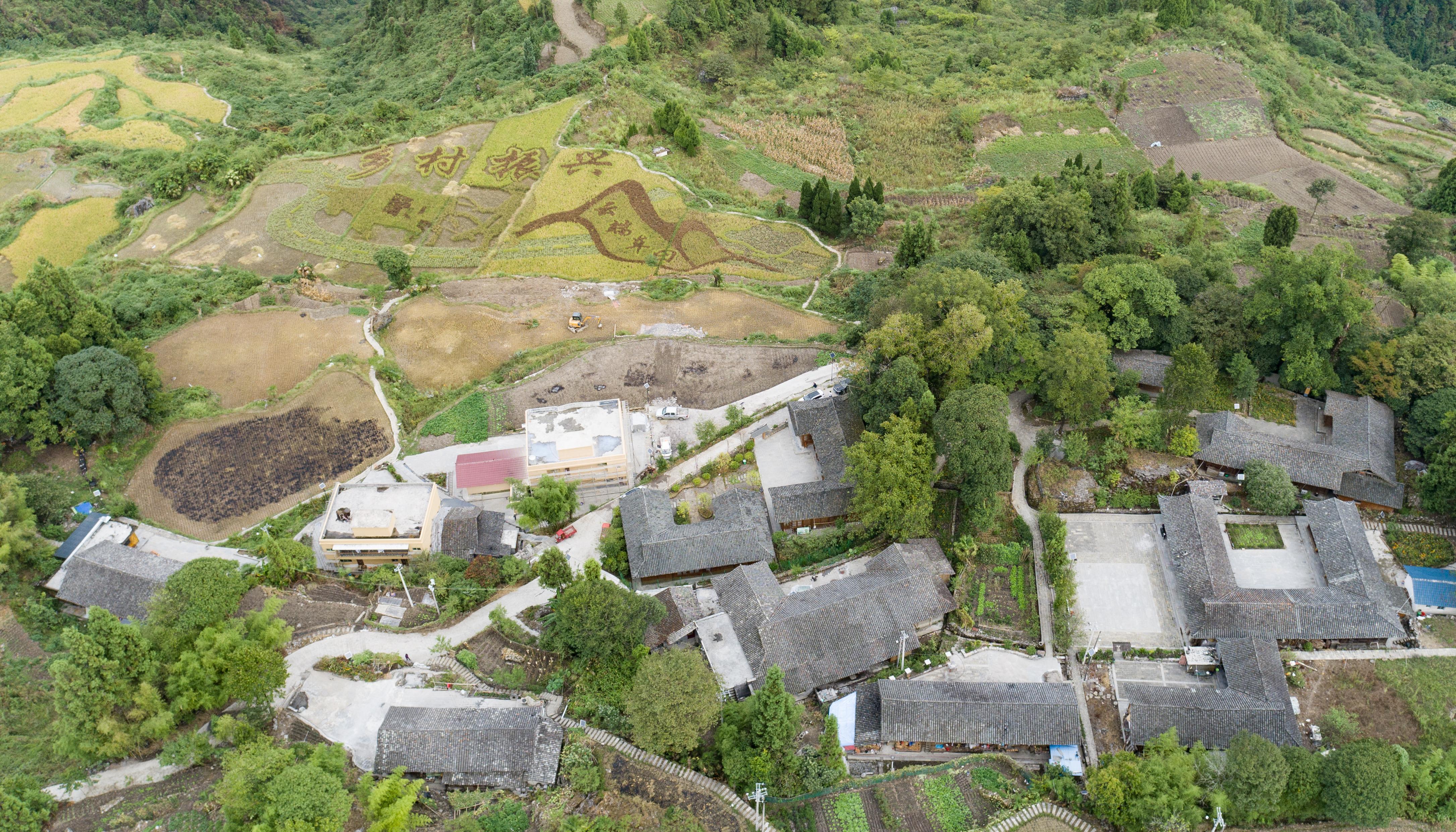 酉阳县车田乡最新动态概览